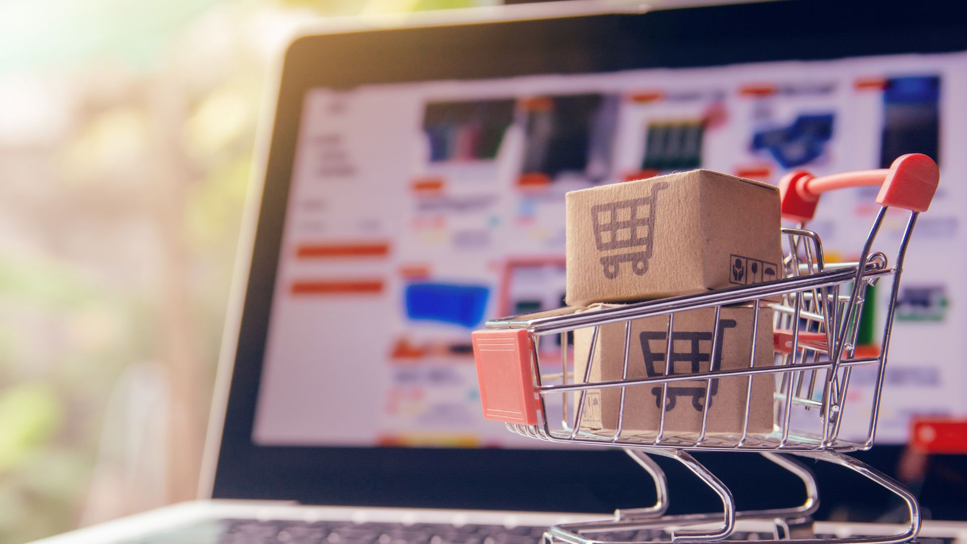 e-commerce growth service in Dehradun, www.startupamplifier.com