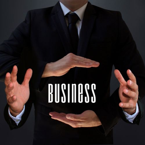 business consultant www.startupamplifier.com